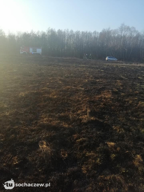 Pierwszy w tym roku pożar traw w gminie Brochów