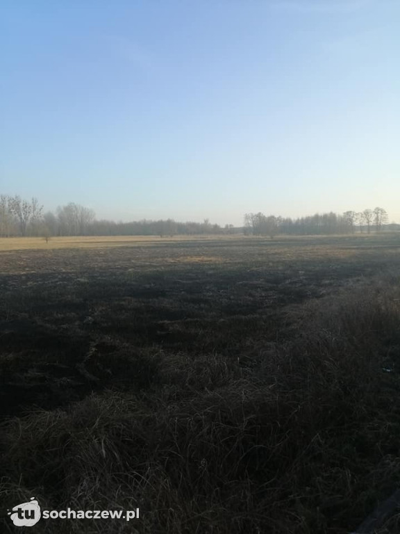 Pierwszy w tym roku pożar traw w gminie Brochów