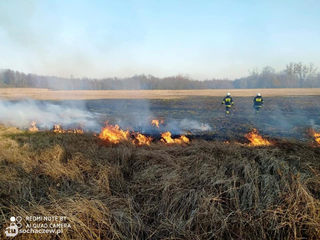 Pierwszy w tym roku pożar traw w gminie Brochów