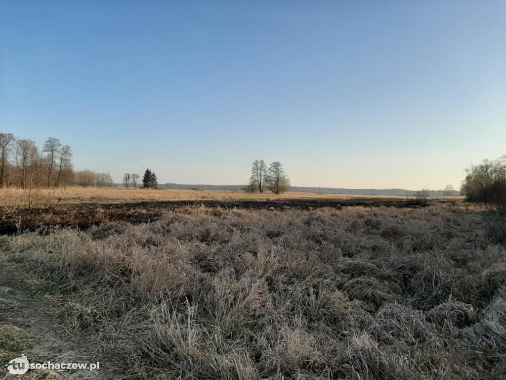 Pierwszy w tym roku pożar traw w gminie Brochów