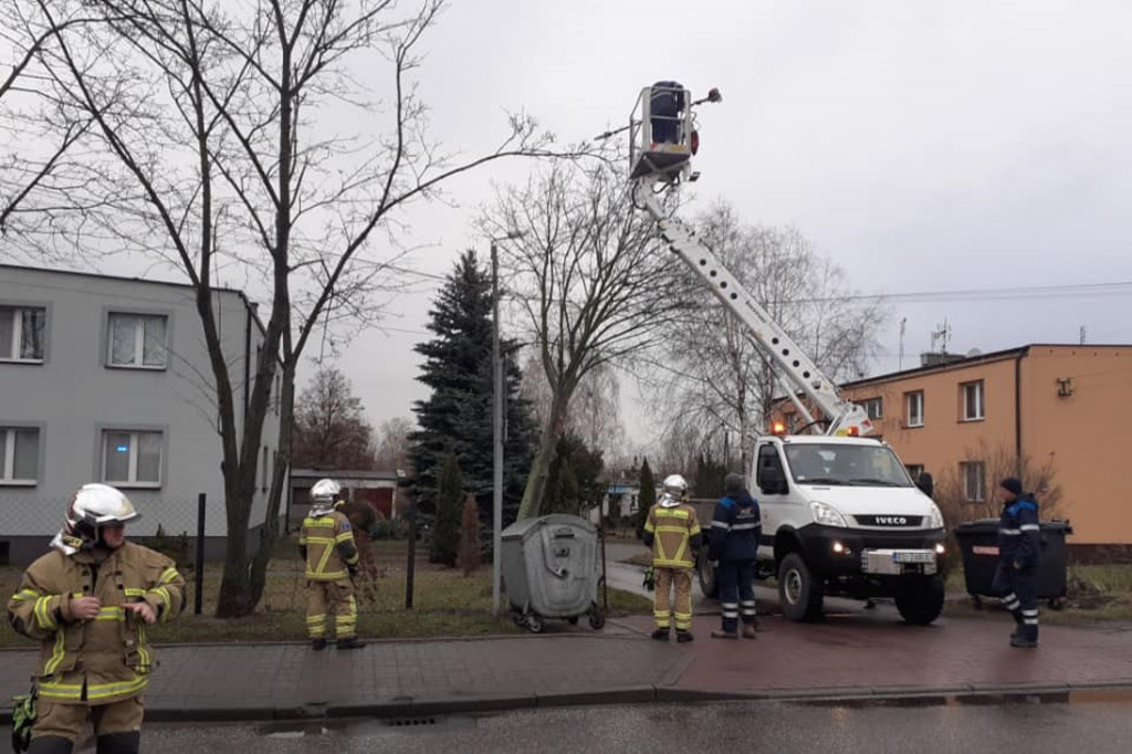 Skutki wichury w Teresinie