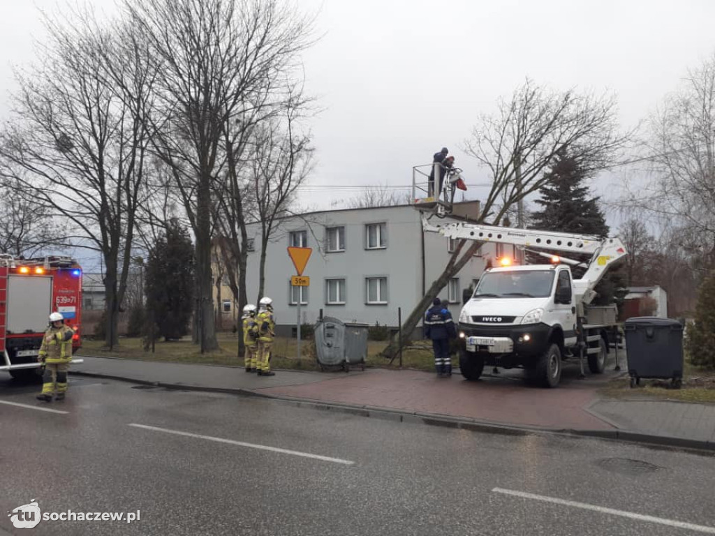 Skutki wichury w Teresinie