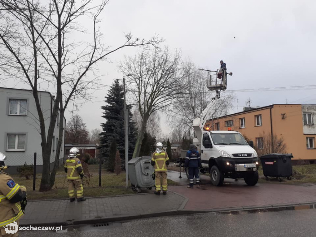 Skutki wichury w Teresinie