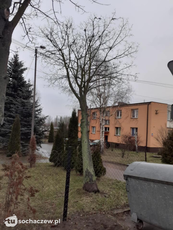 Skutki wichury w Teresinie