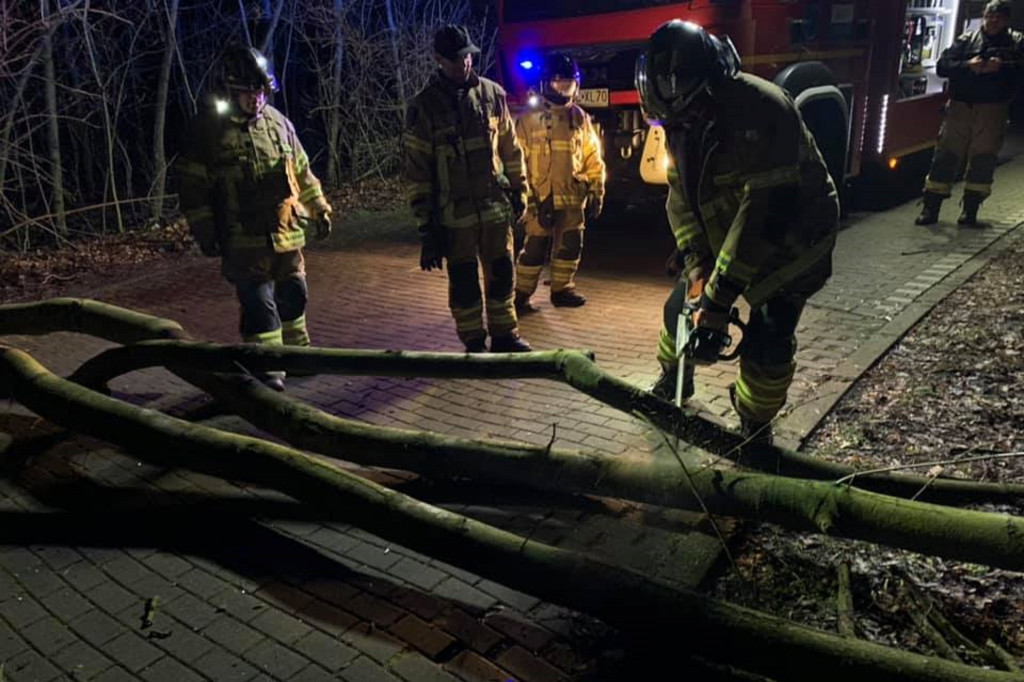 Wichura nas oszczędziła. Tylko jedna nocna interwencja straży