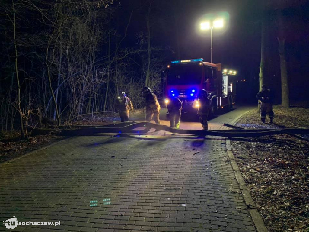 Wichura nas oszczędziła. Tylko jedna nocna interwencja straży