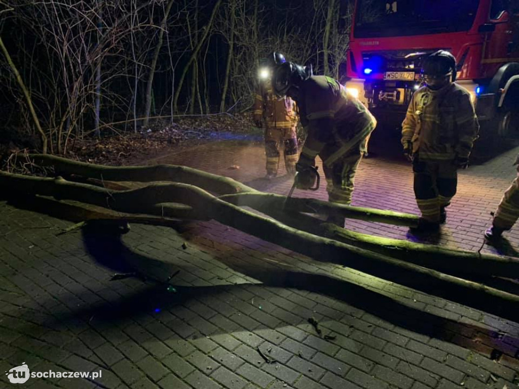 Wichura nas oszczędziła. Tylko jedna nocna interwencja straży