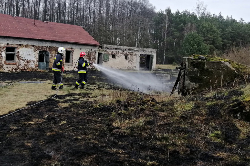 Pożar trawy w  Olszynkach