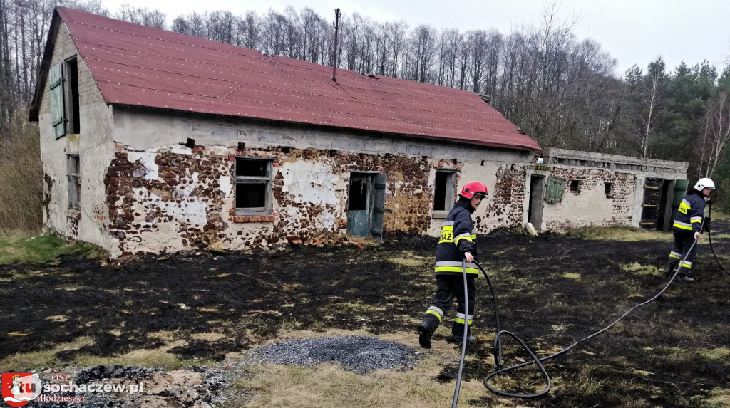 Pożar trawy w  Olszynkach