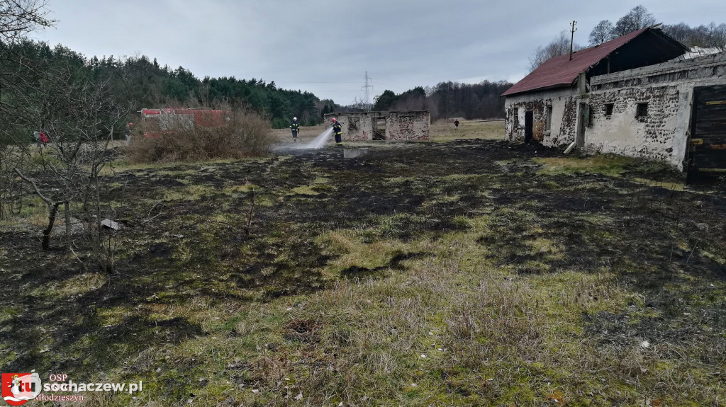 Pożar trawy w  Olszynkach