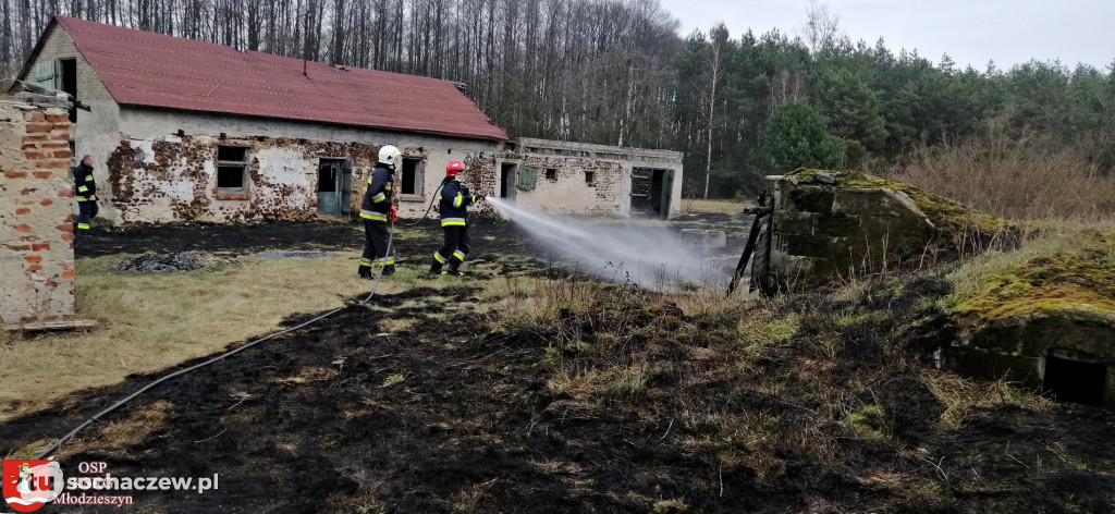 Pożar trawy w  Olszynkach