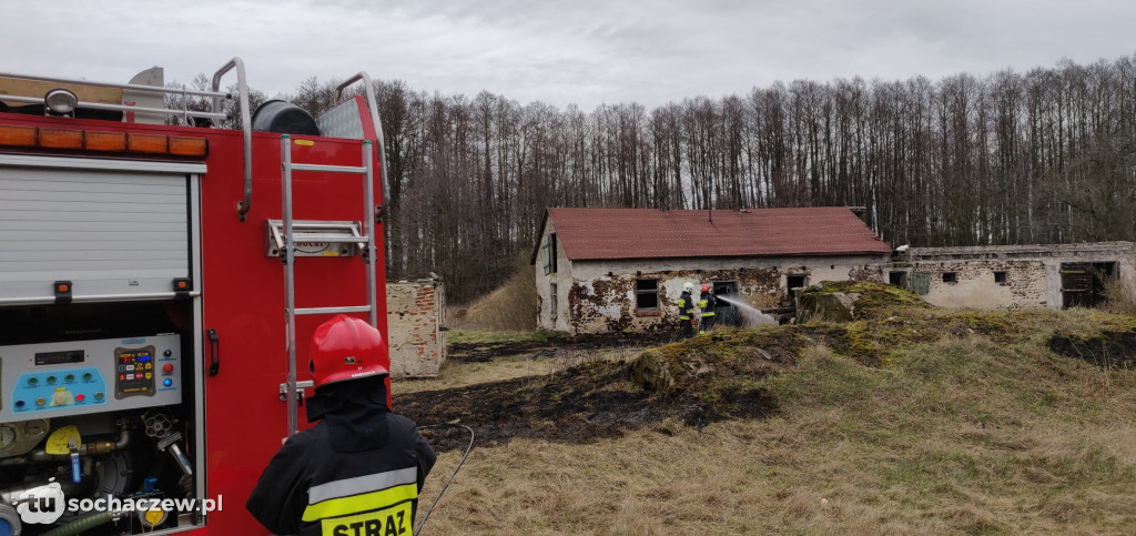 Pożar trawy w  Olszynkach