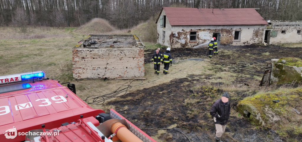 Pożar trawy w  Olszynkach