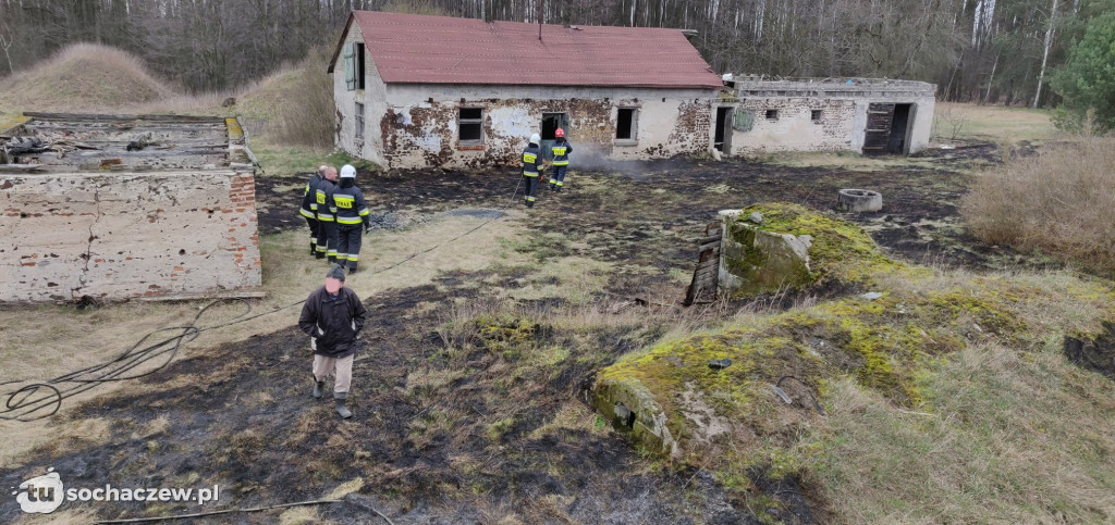 Pożar trawy w  Olszynkach