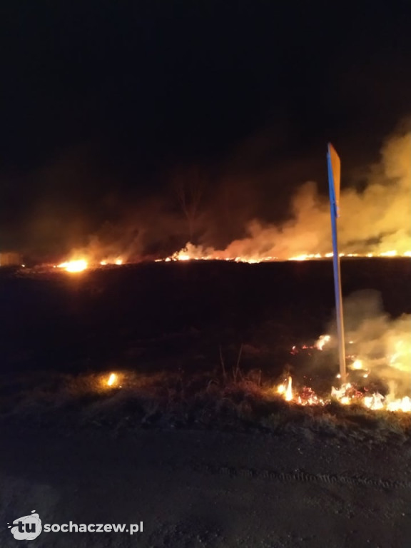 Pożar trawy w Budkach Żelazowskich