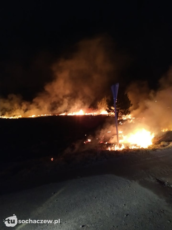 Pożar trawy w Budkach Żelazowskich