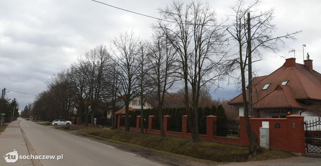 Wycinka w Plecewicach
