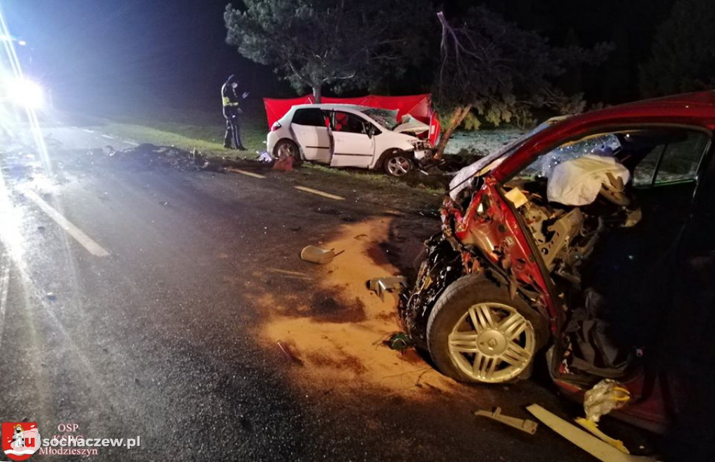 Śmiertelny wypadek na DK 50. Relacja Straży Pożarnej