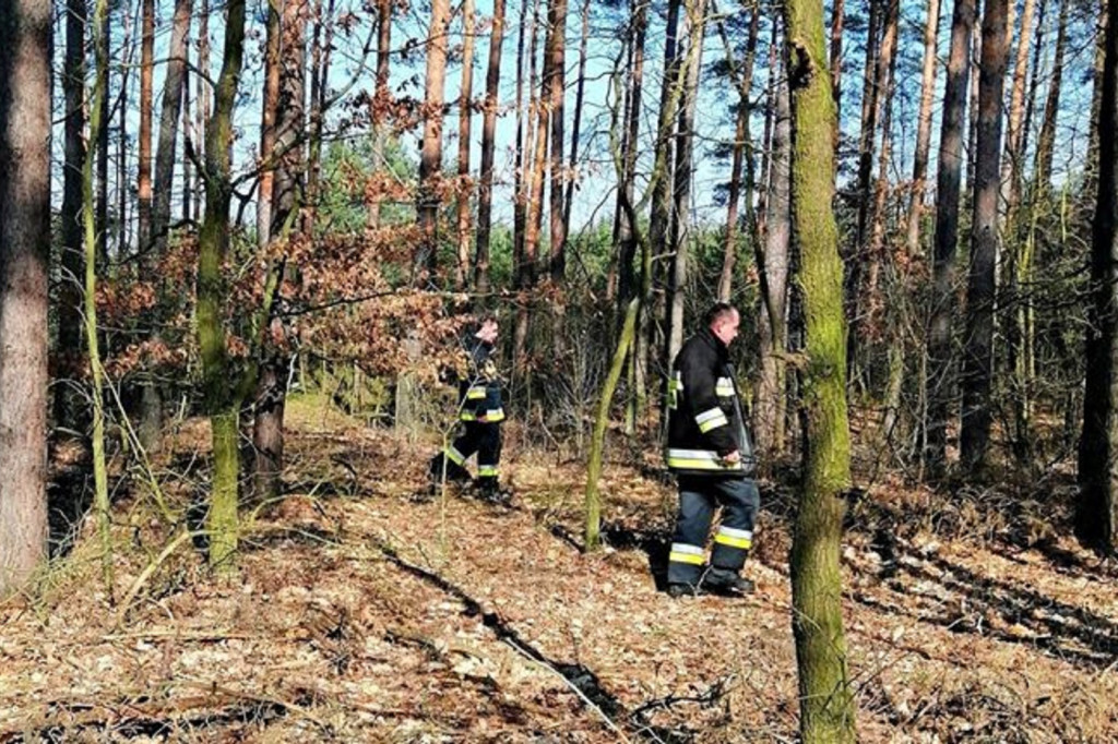 Tragiczny finał poszukiwań zaginionej osoby w Młodzieszynku