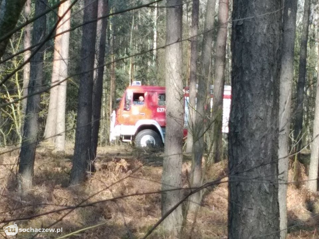 Tragiczny finał poszukiwań zaginionej osoby w Młodzieszynku