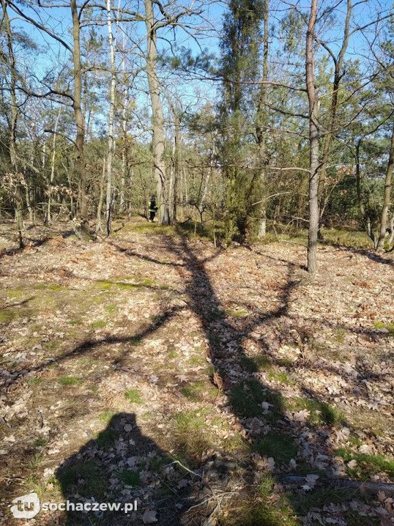 Tragiczny finał poszukiwań zaginionej osoby w Młodzieszynku