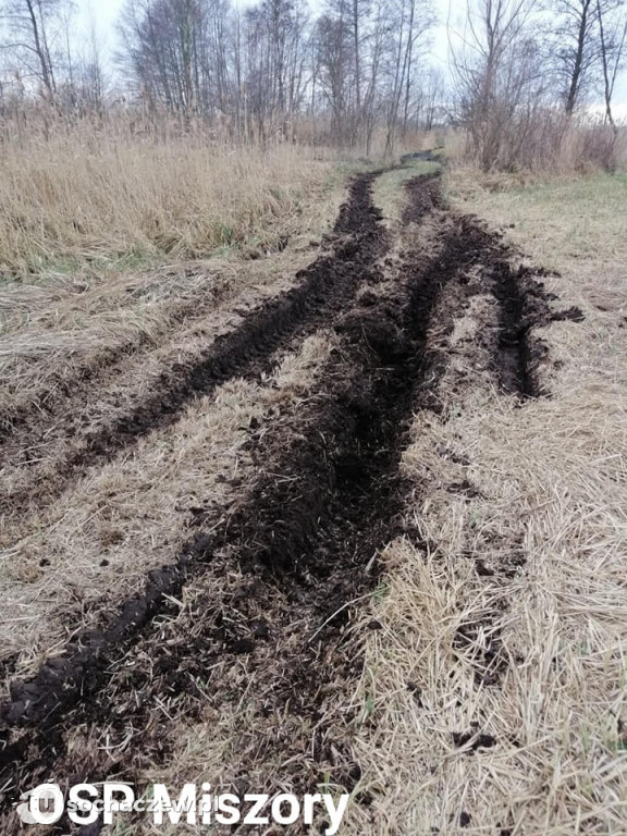 Trzy pożary traw w Miszorach