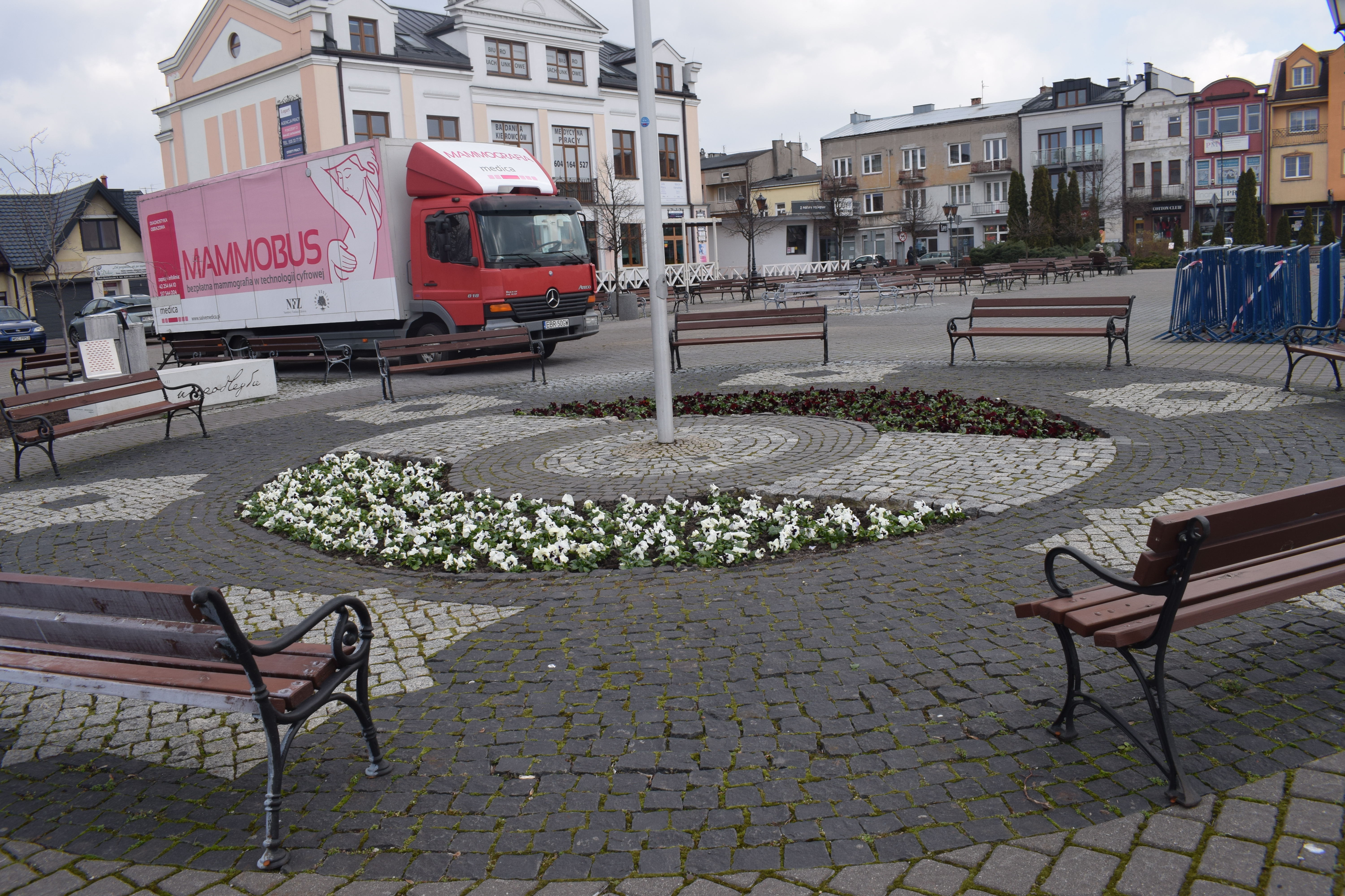 Wiosenne nasadzenia na placu Kościuszki