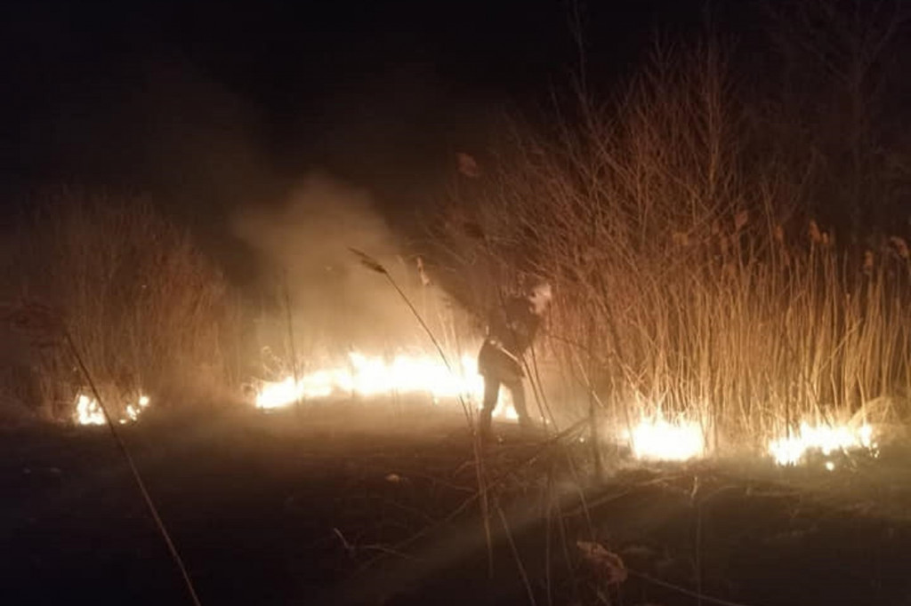 Wielki pożar trzcinowisk w miejscowości Władysławów