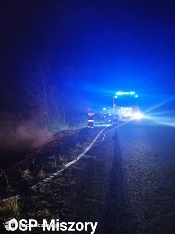 Wielki pożar trzcinowisk w miejscowości Władysławów