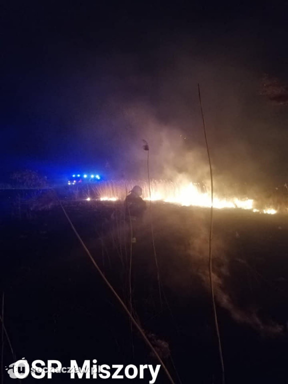 Wielki pożar trzcinowisk w miejscowości Władysławów