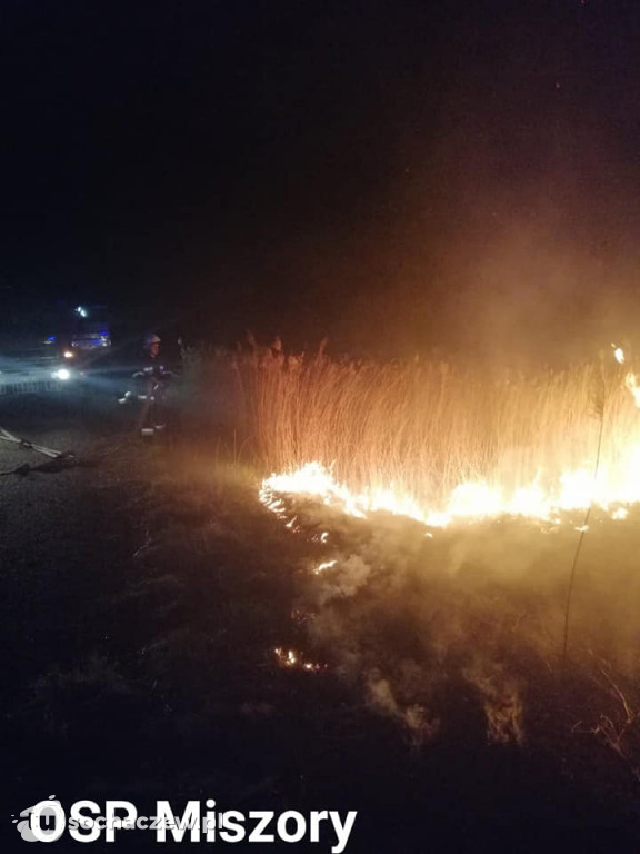 Wielki pożar trzcinowisk w miejscowości Władysławów