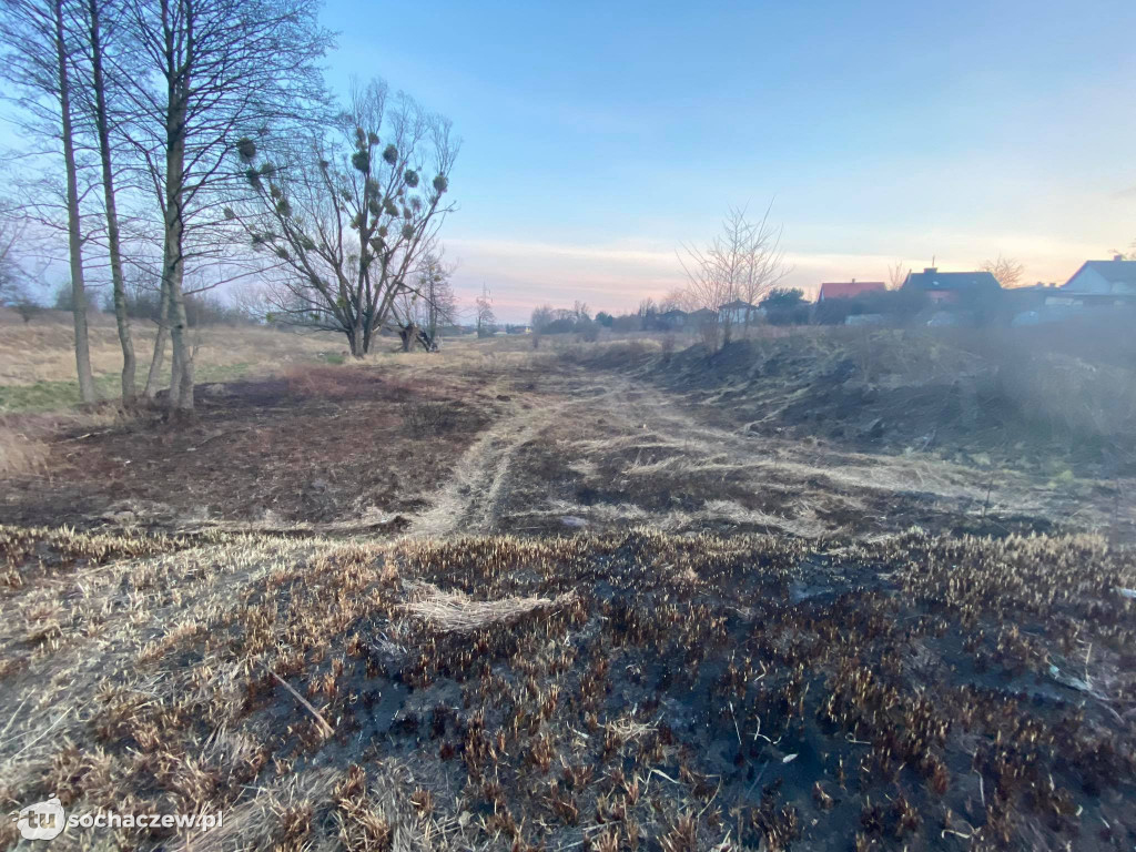 Trojanów: to, co tu się dzieje, to kosmos