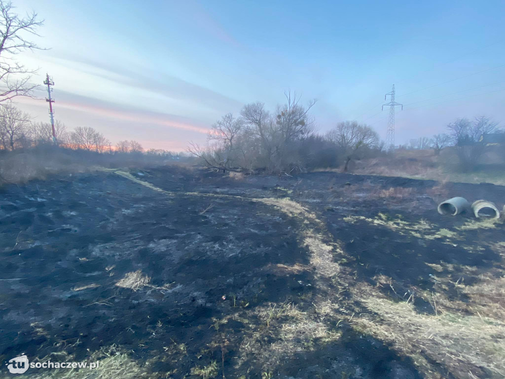 Trojanów: to, co tu się dzieje, to kosmos