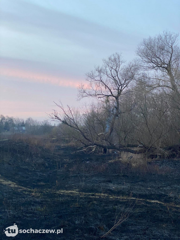Trojanów: to, co tu się dzieje, to kosmos