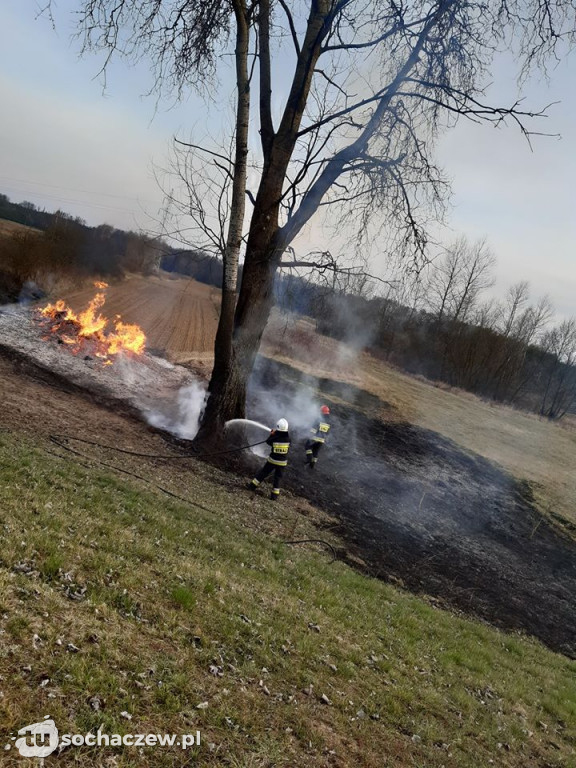 6 pożarów w ciągu jednego dnia na terenie gminy Młodzieszyn