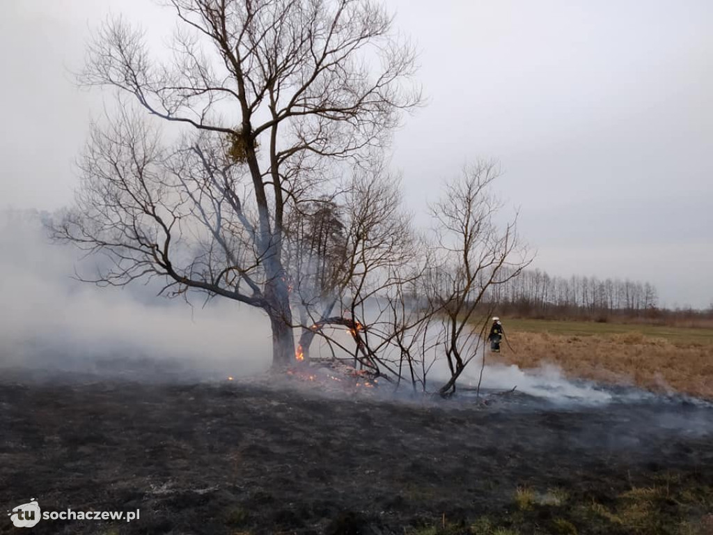 6 pożarów w ciągu jednego dnia na terenie gminy Młodzieszyn