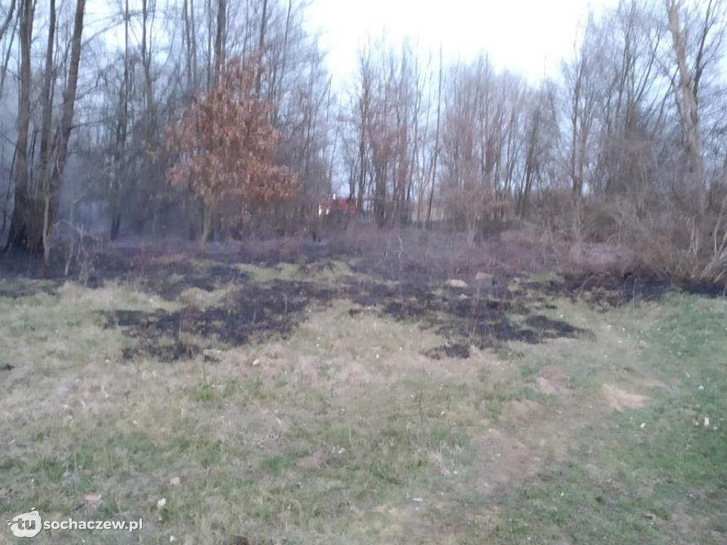 6 pożarów w ciągu jednego dnia na terenie gminy Młodzieszyn