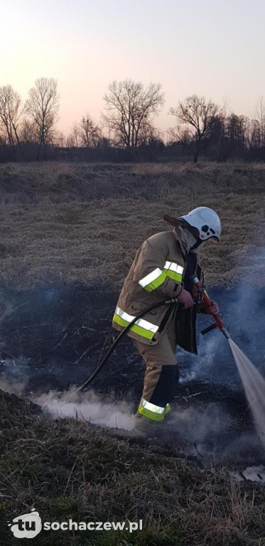 Pożar nieużytków w miejscowości Sielice. Interwencja OSP Wyczółki
