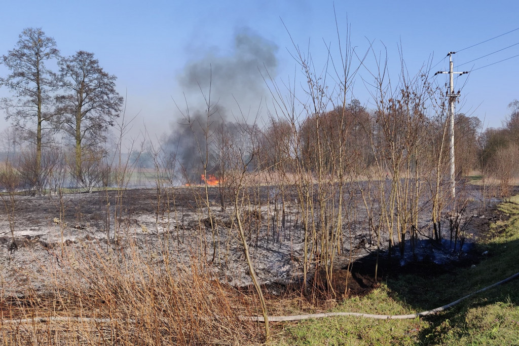 Dwa pożary w krótkim czasie. OSP Kamion w akcji