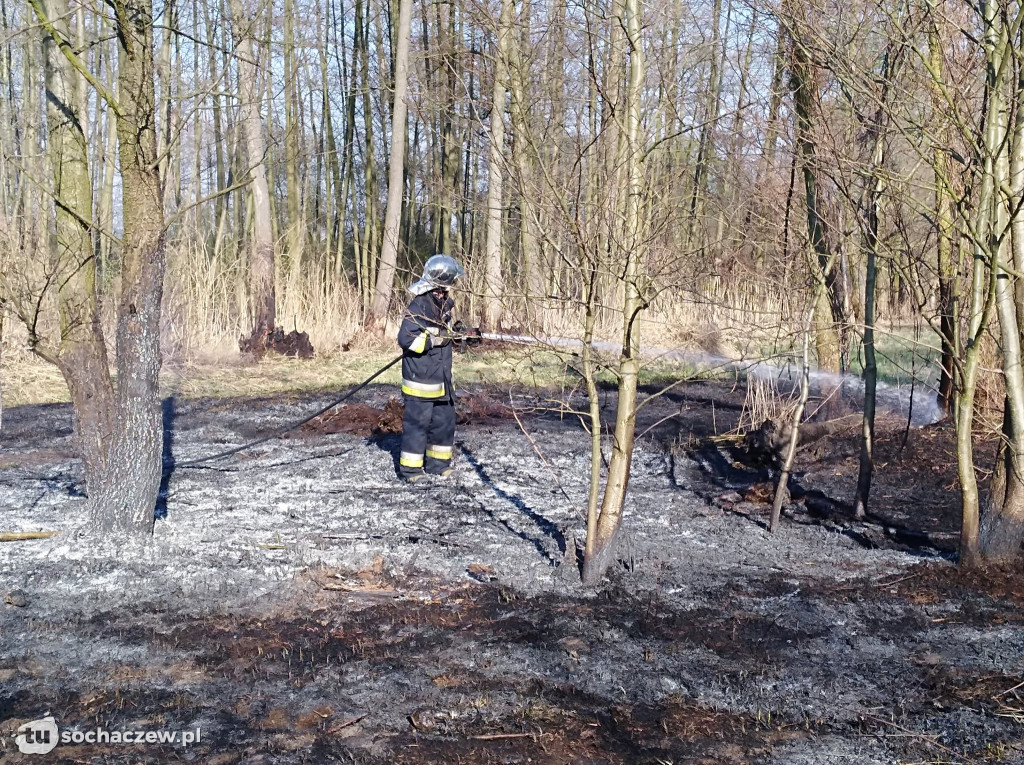 Dwa pożary w krótkim czasie. OSP Kamion w akcji