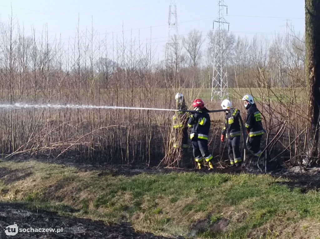 Dwa pożary w krótkim czasie. OSP Kamion w akcji