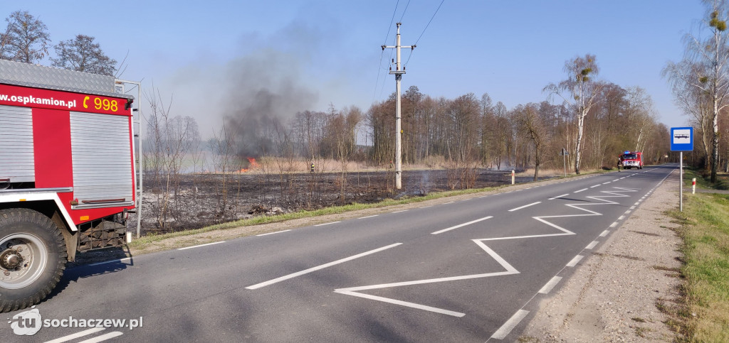 Dwa pożary w krótkim czasie. OSP Kamion w akcji