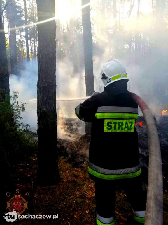 Spłonęło pół hektara ściółki leśnej w Wólce Smolanej