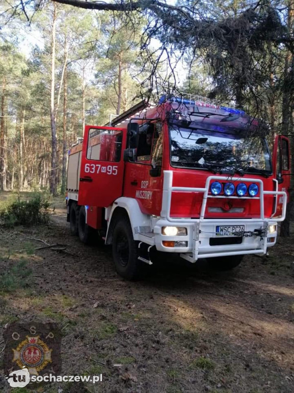 Spłonęło pół hektara ściółki leśnej w Wólce Smolanej