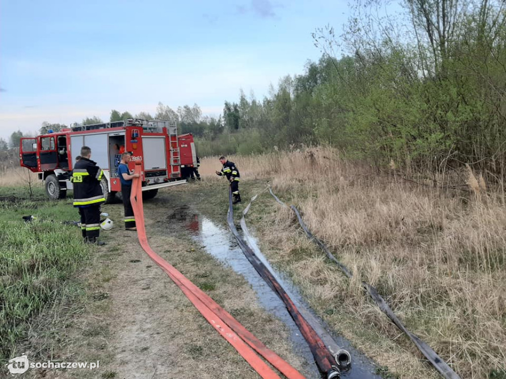 Duży pożar przy ul. Wyszogrodzkiej. 2 hektary łąk w ogniu