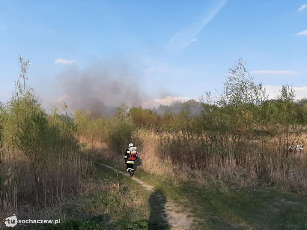 Duży pożar przy ul. Wyszogrodzkiej. 2 hektary łąk w ogniu