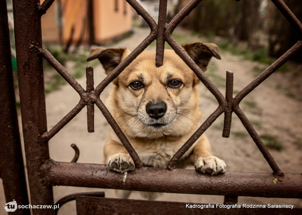 Kwarantanna projekt fotograficzny. Zrodził się z potrzeby serca, by dać radość w tym trudnym  czasie