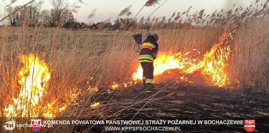 Strażacy powiatu sochaczewskiego  397 interwencji w czasie epidemii