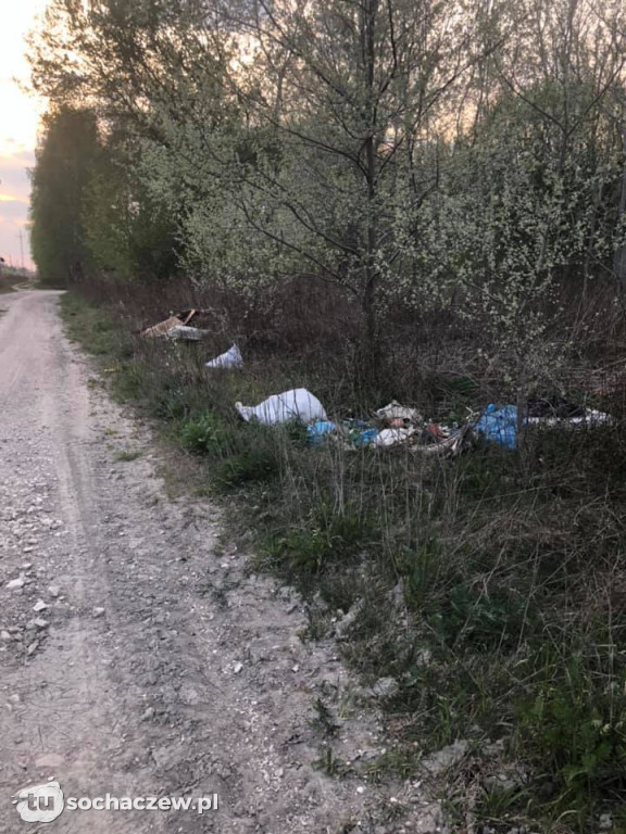Na spacerze w Topołowej