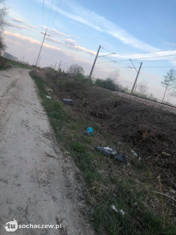Na spacerze w Topołowej